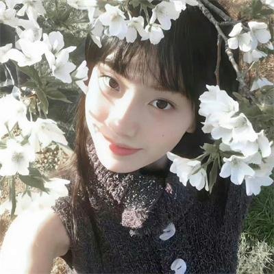 金砖香